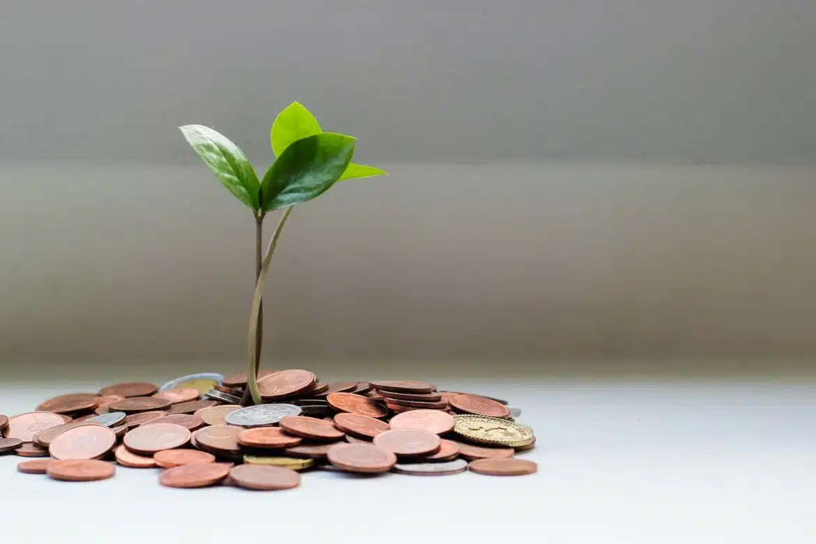 plante verte dans un tas de pièces de monnaie